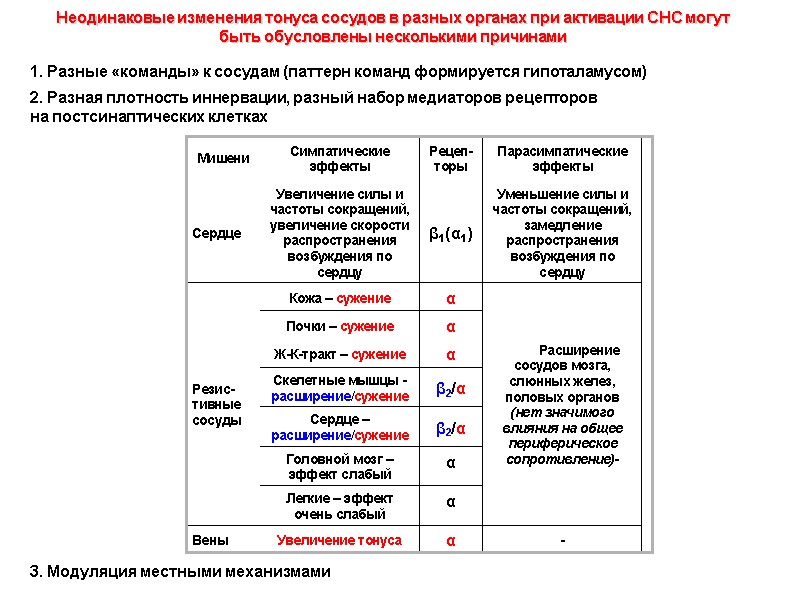 1. Разные «команды» к сосудам (паттерн команд формируется гипоталамусом)  2. Разная плотность иннервации,